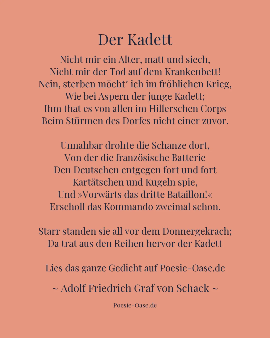 Illustration zu Der Kadett