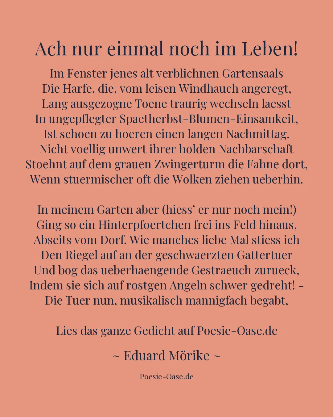 Illustration zu Ach nur einmal noch im Leben!