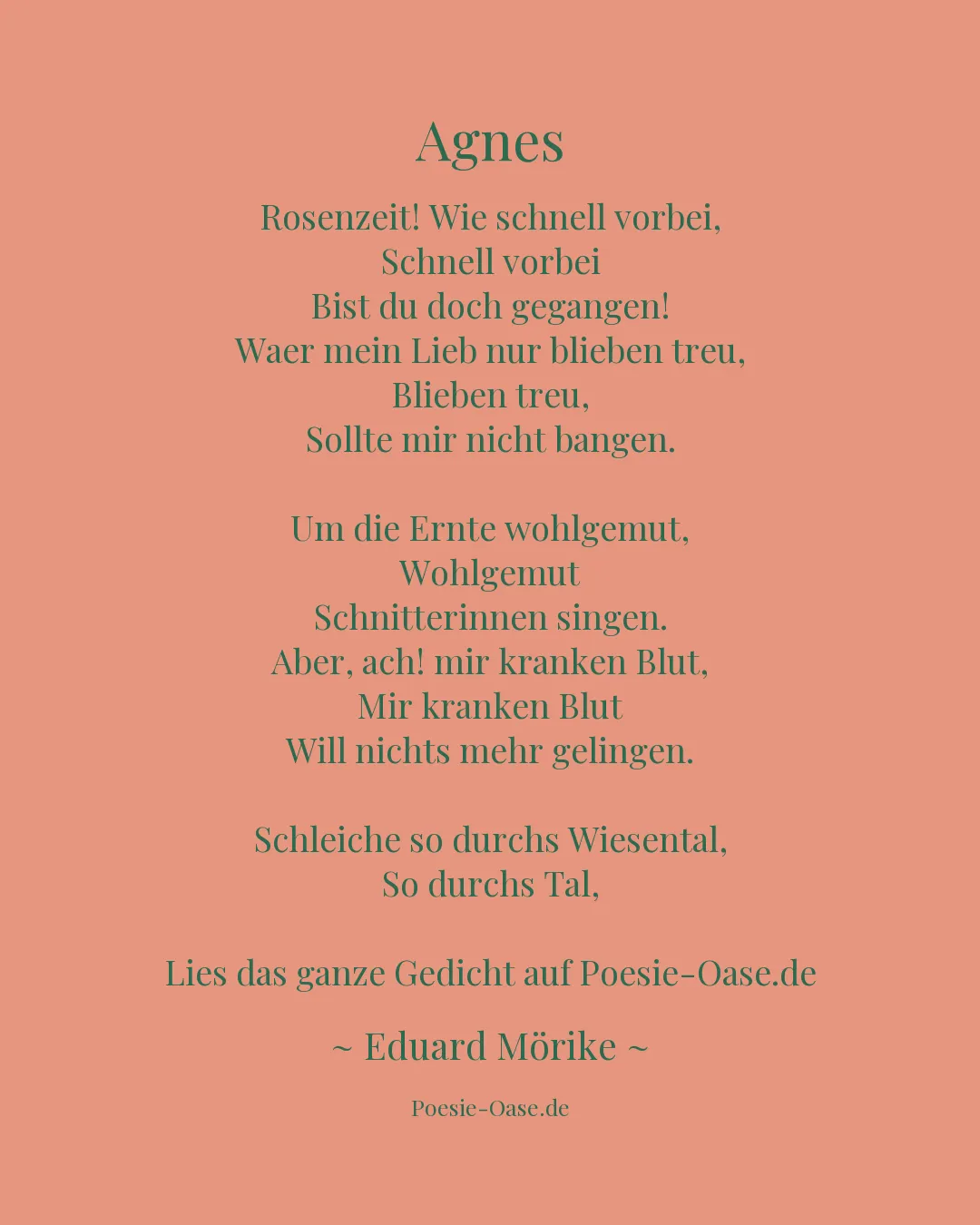 Illustration zu Agnes