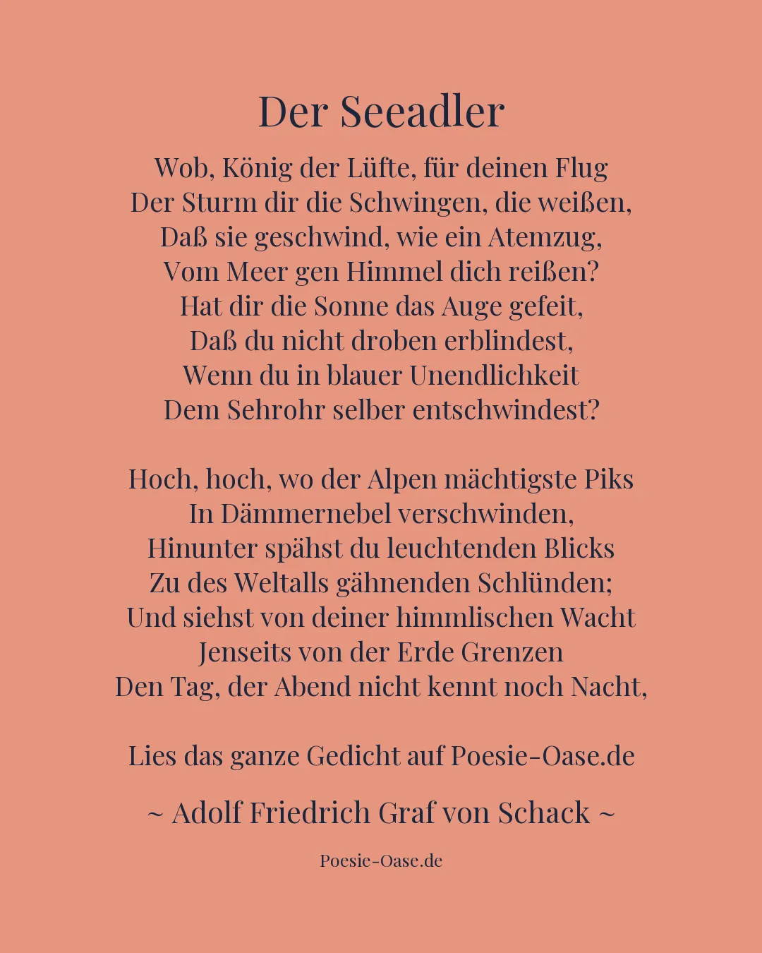 Illustration zu Der Seeadler