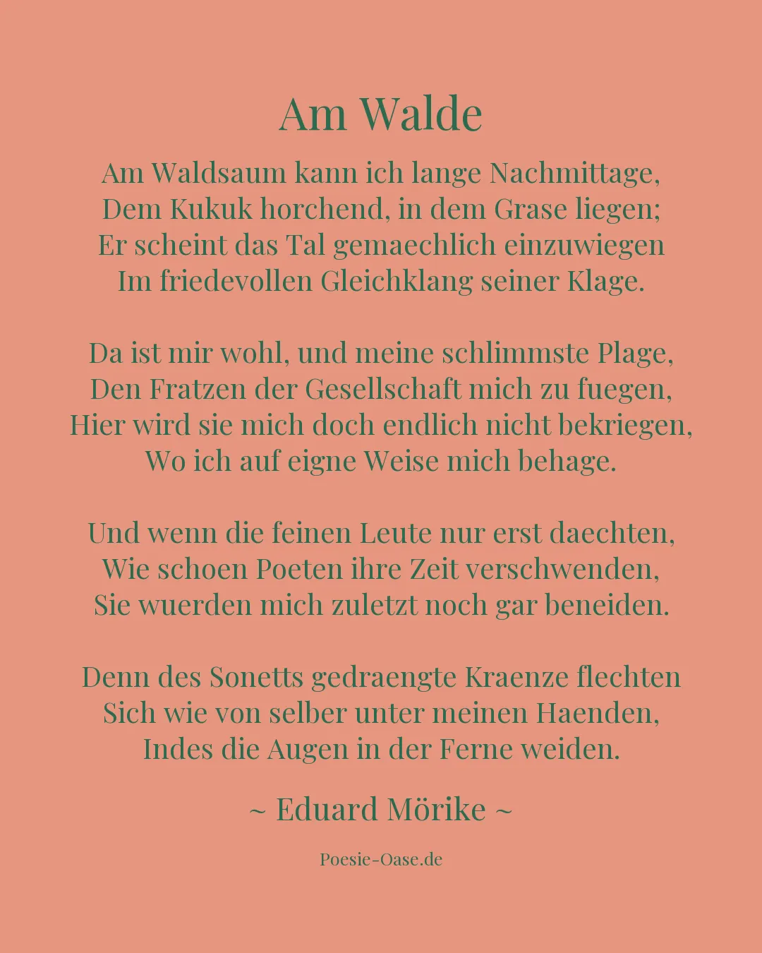 Illustration zu Am Walde