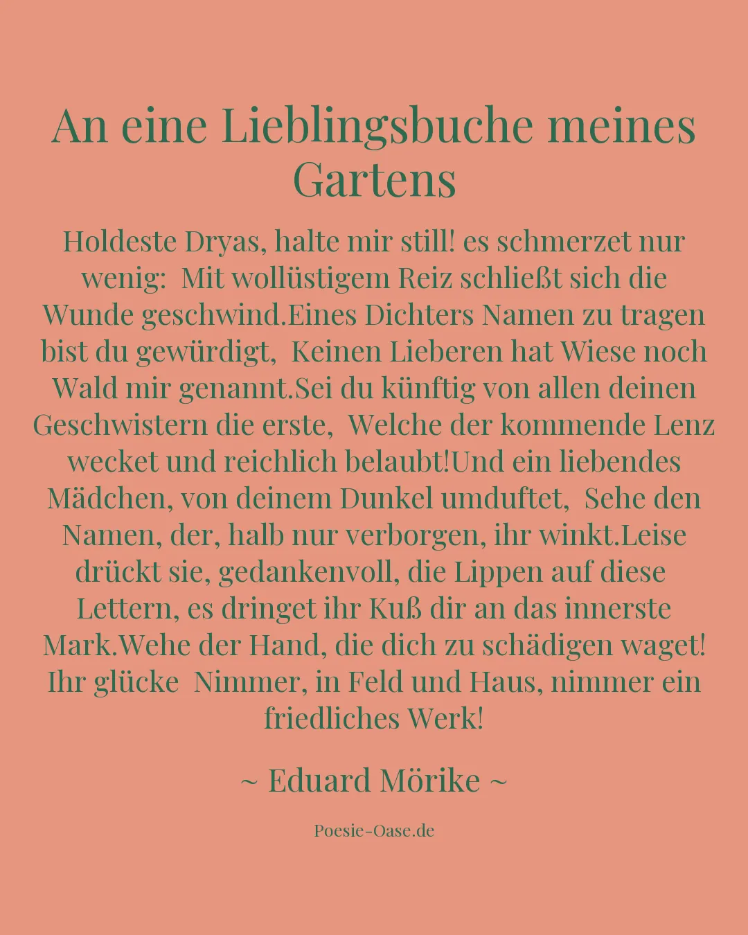 Illustration zu An eine Lieblingsbuche meines Gartens