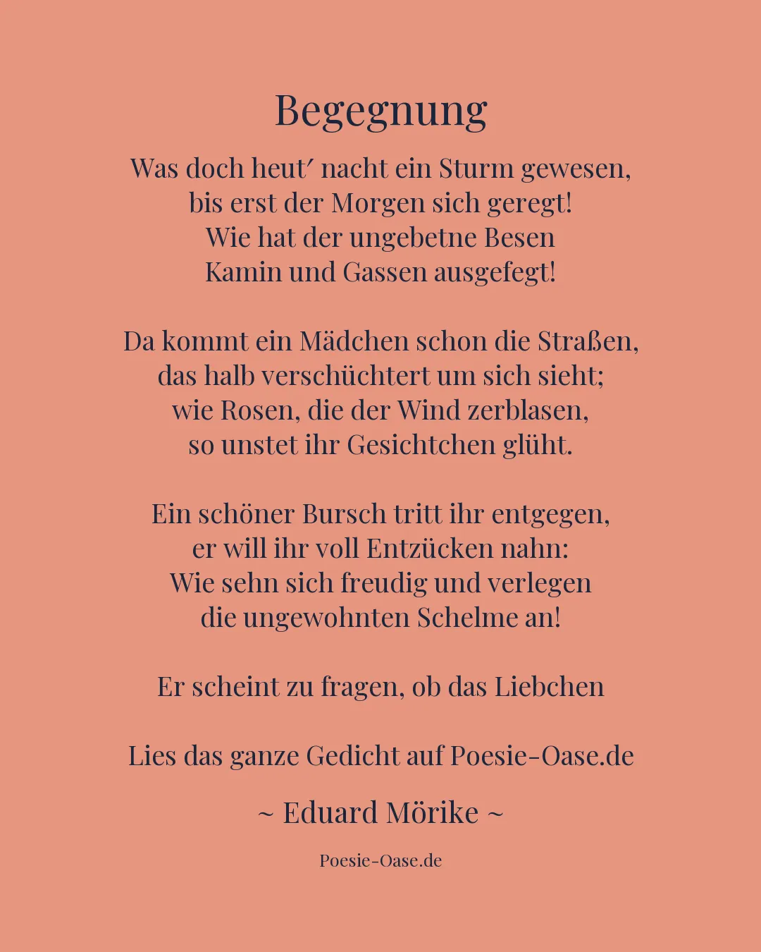 Illustration zu Begegnung