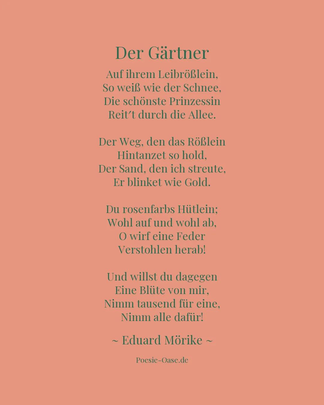 Illustration zu Der Gärtner