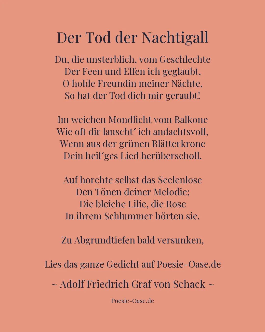 Illustration zu Der Tod der Nachtigall