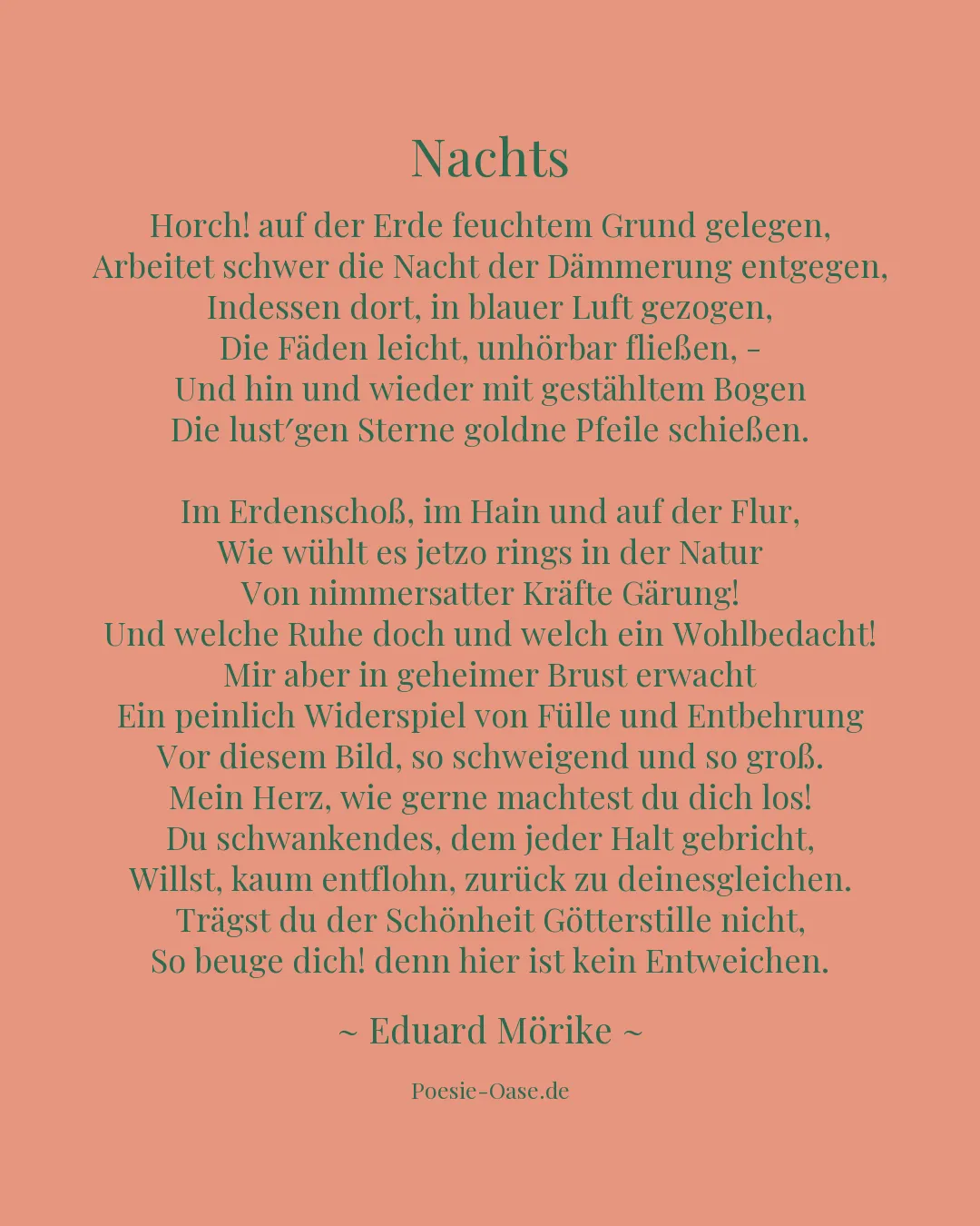 Illustration zu Nachts