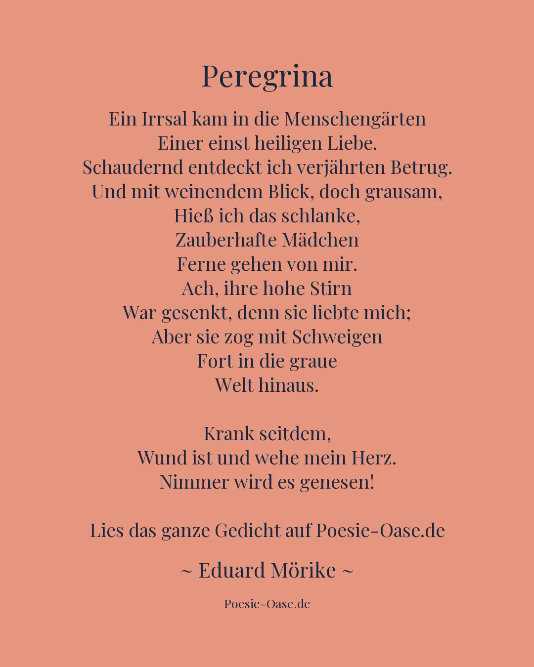 Illustration zu Peregrina
