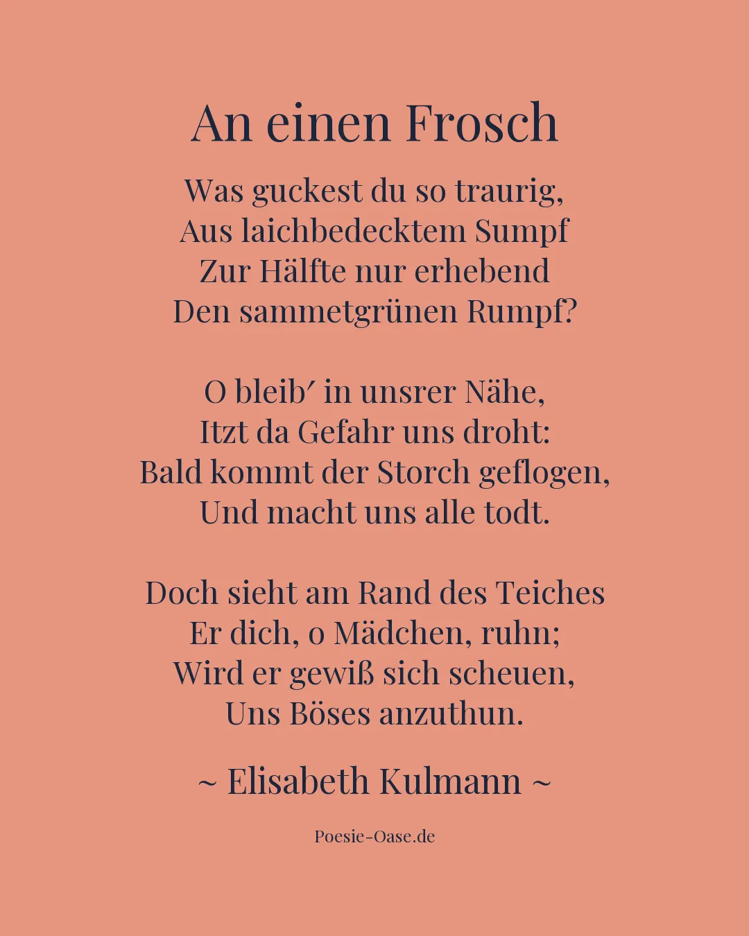 Illustration zu An einen Frosch