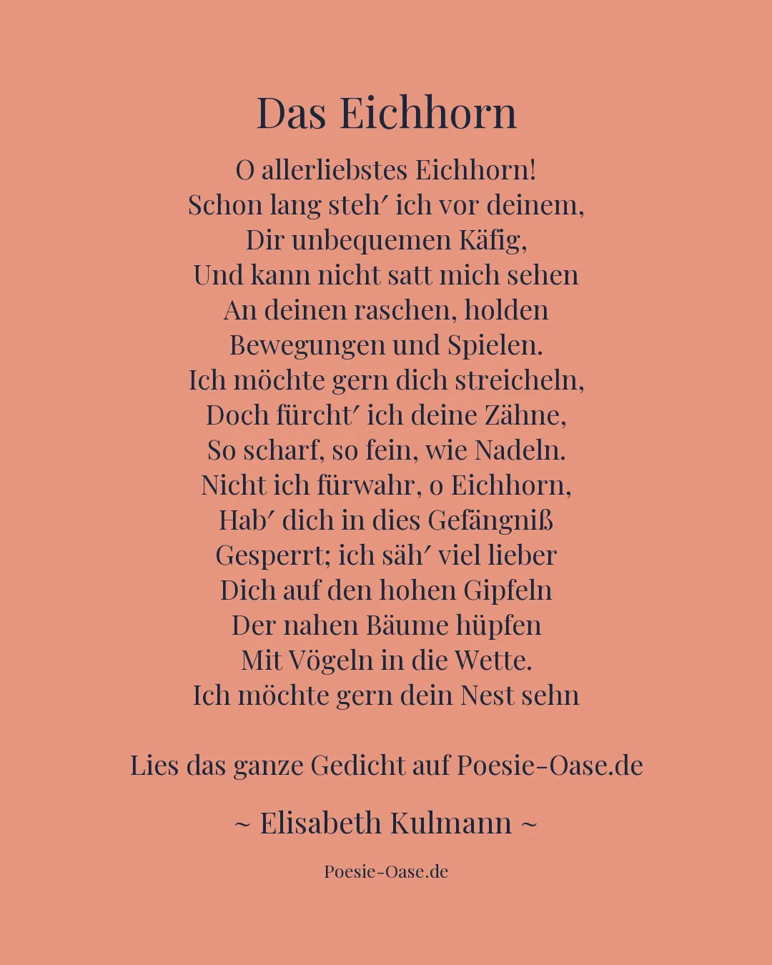 Illustration zu Das Eichhorn