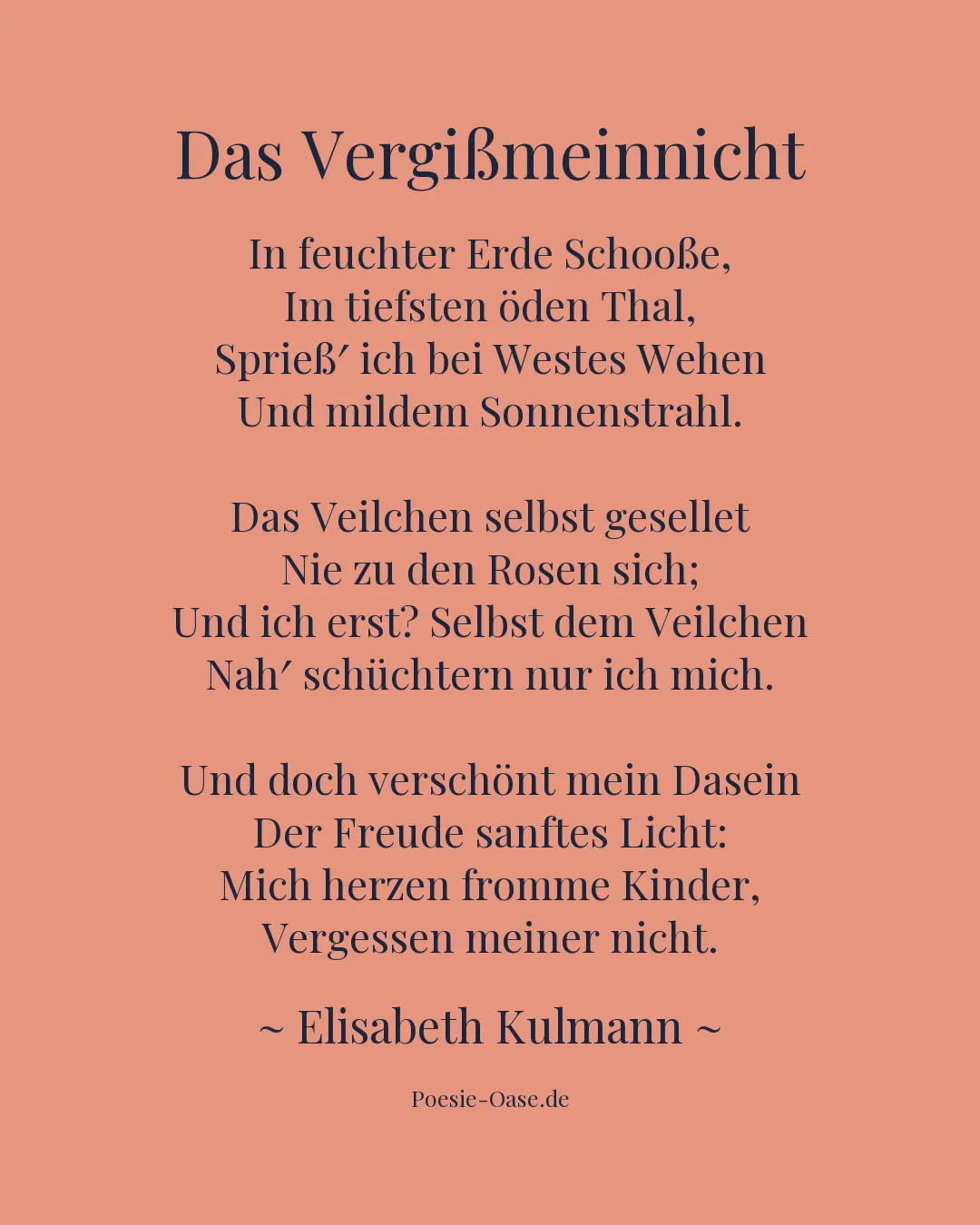 Illustration zu Das Vergißmeinnicht
