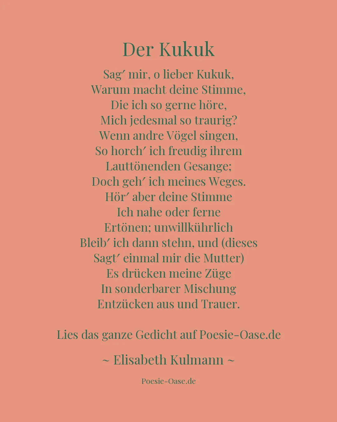 Illustration zu Der Kukuk