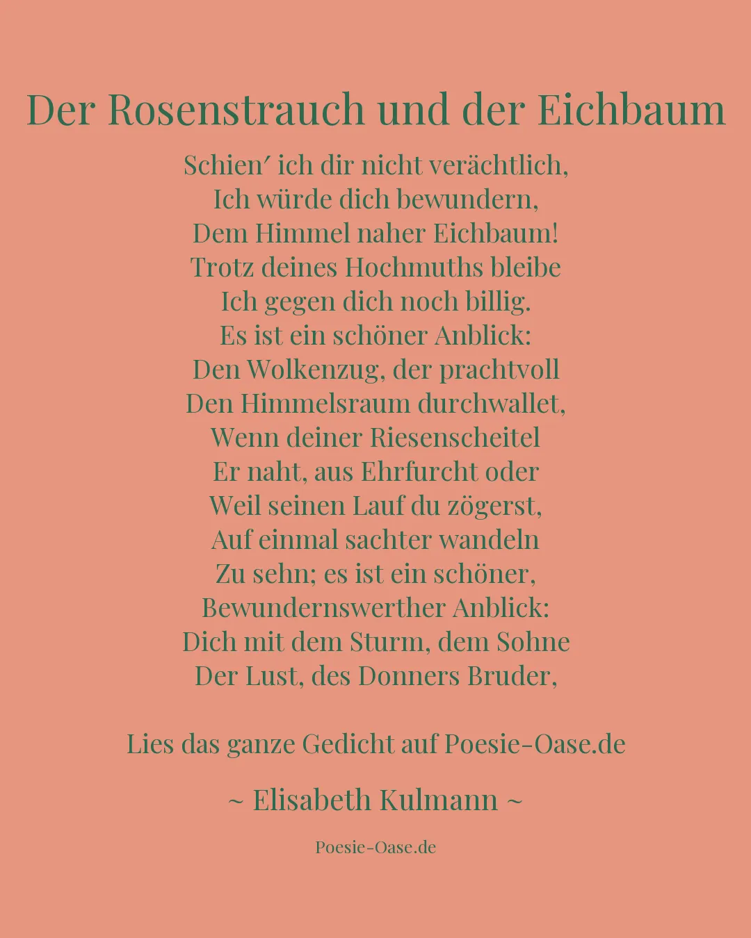 Illustration zu Der Rosenstrauch und der Eichbaum