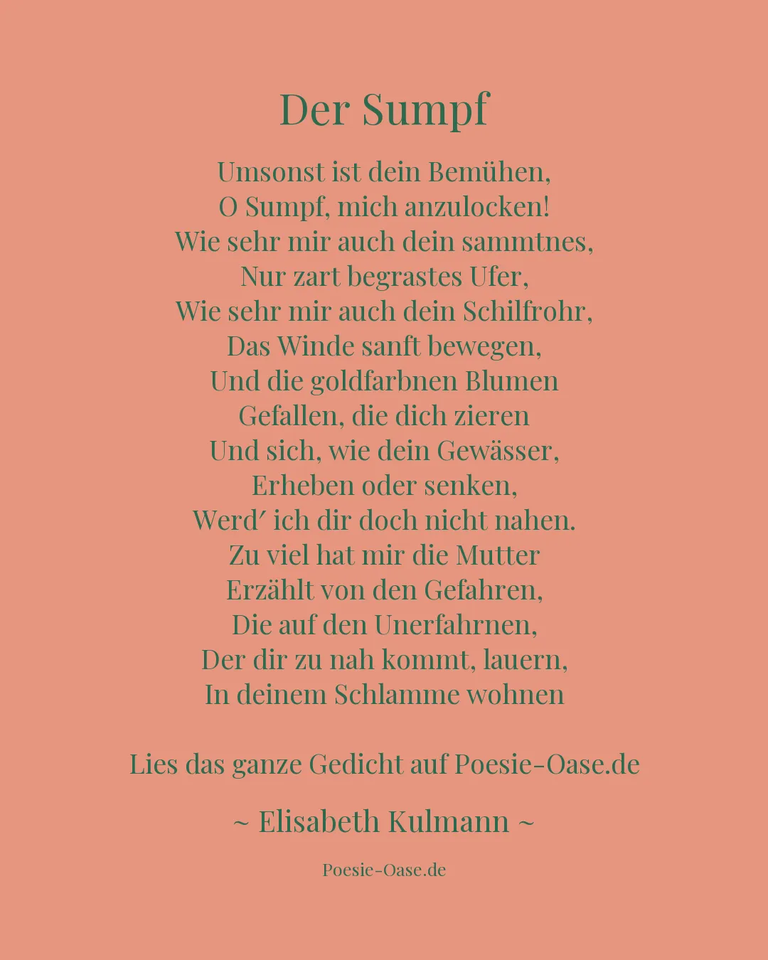 Illustration zu Der Sumpf