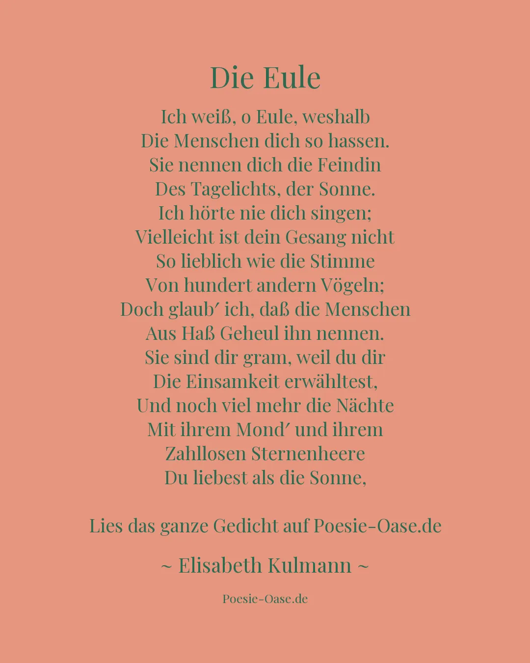 Illustration zu Die Eule