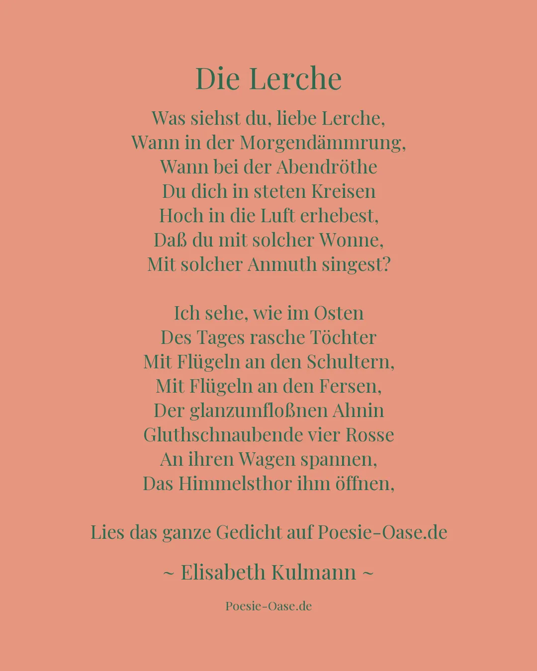 Illustration zu Die Lerche