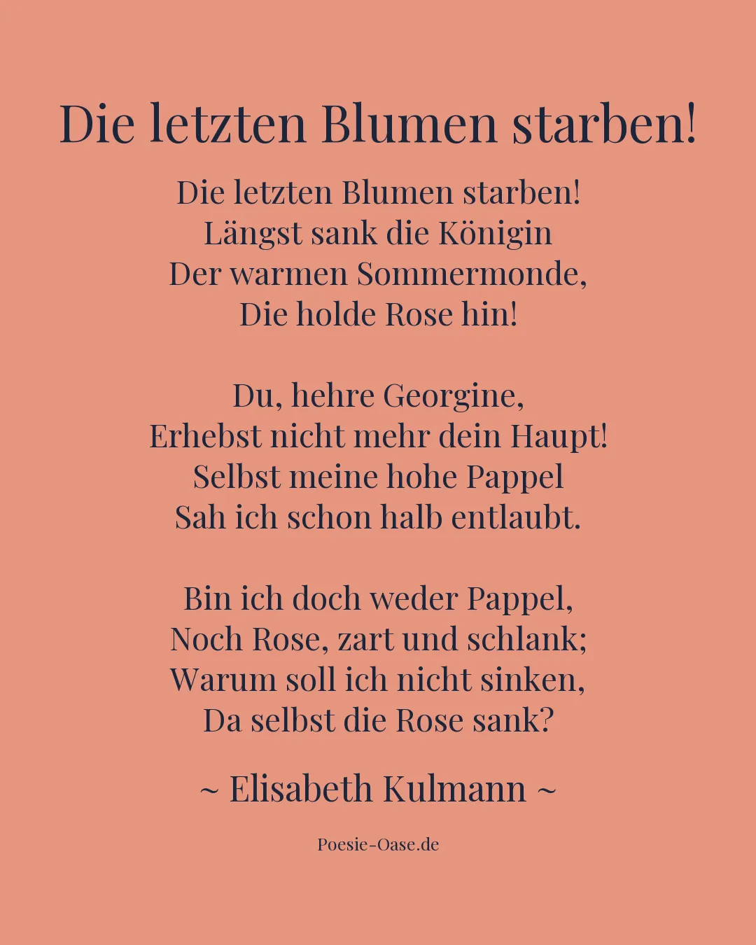 Illustration zu Die letzten Blumen starben!