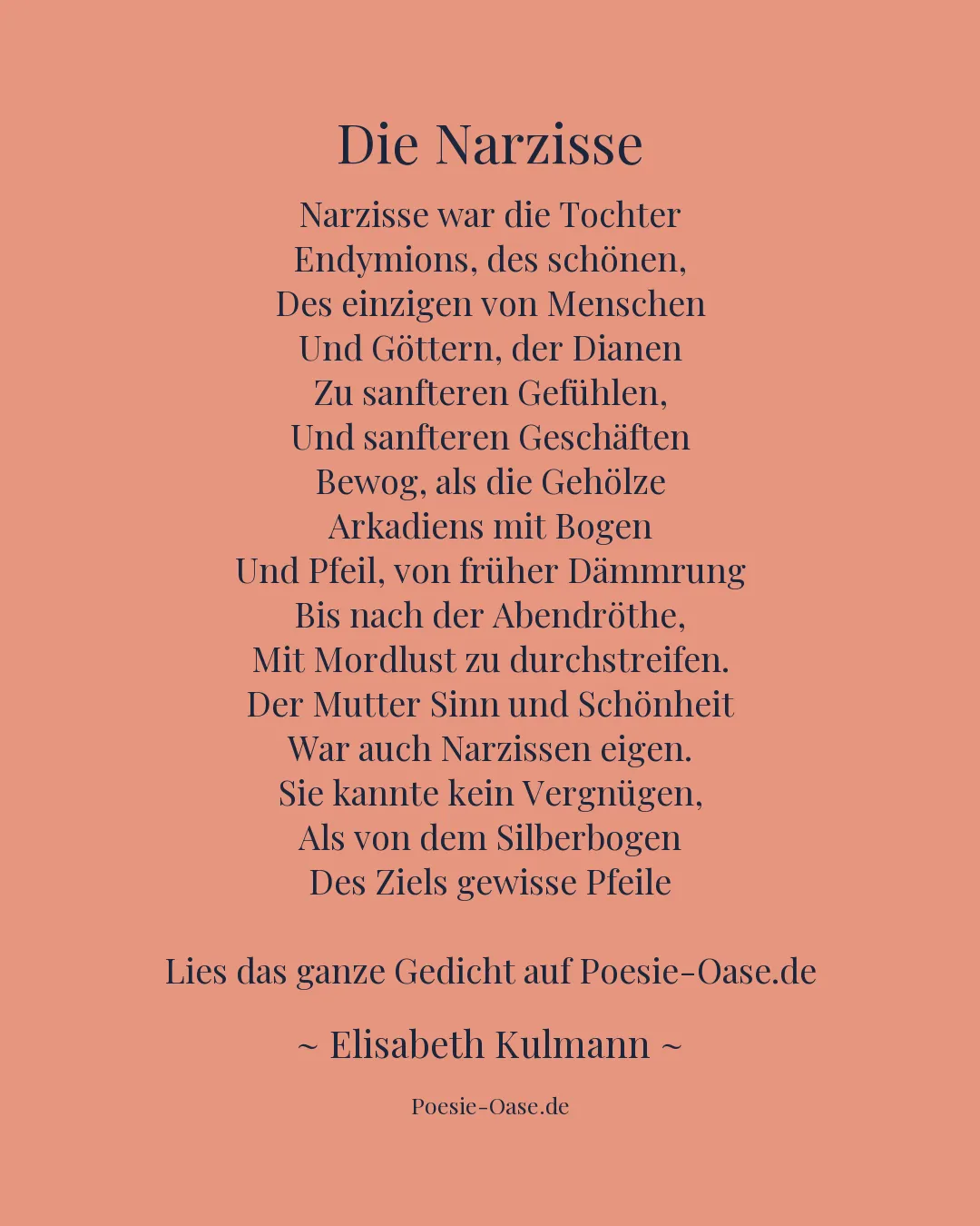 Illustration zu Die Narzisse
