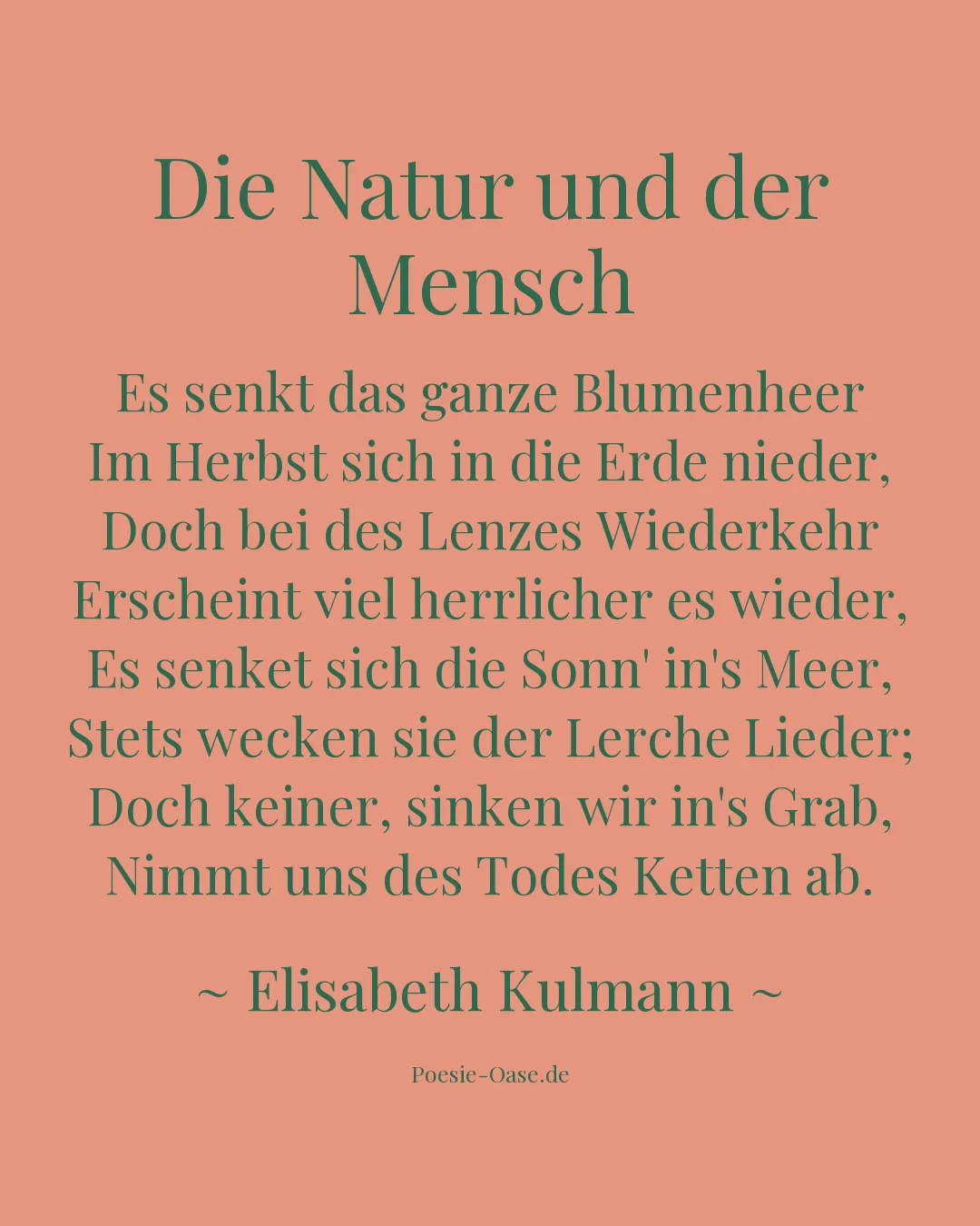 Illustration zu Die Natur und der Mensch