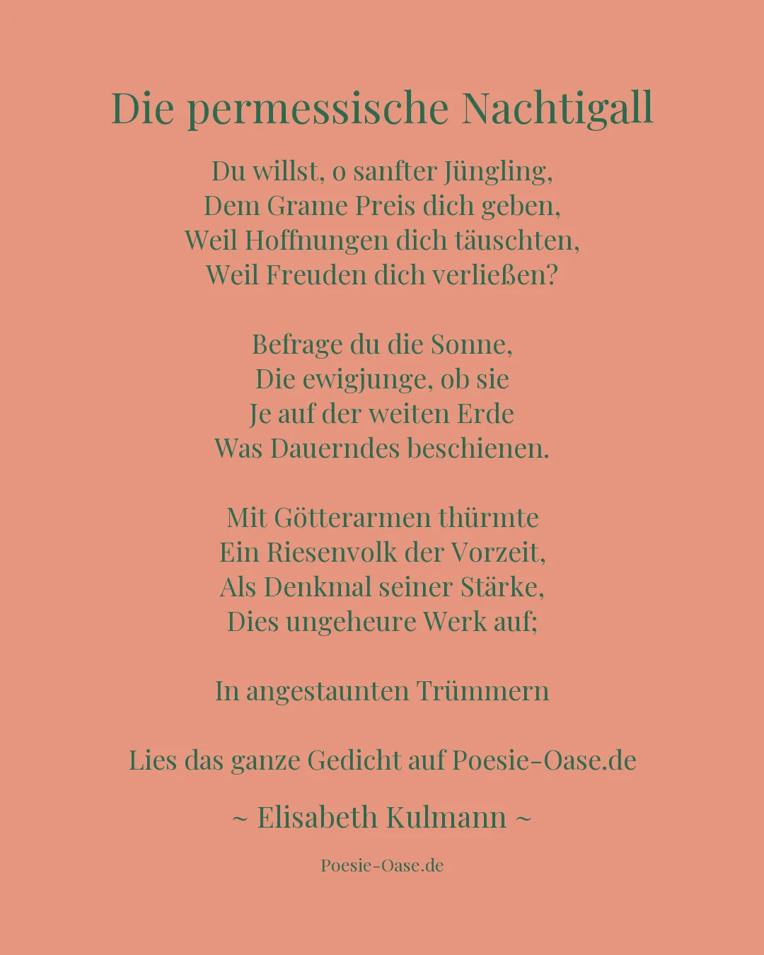 Illustration zu Die permessische Nachtigall