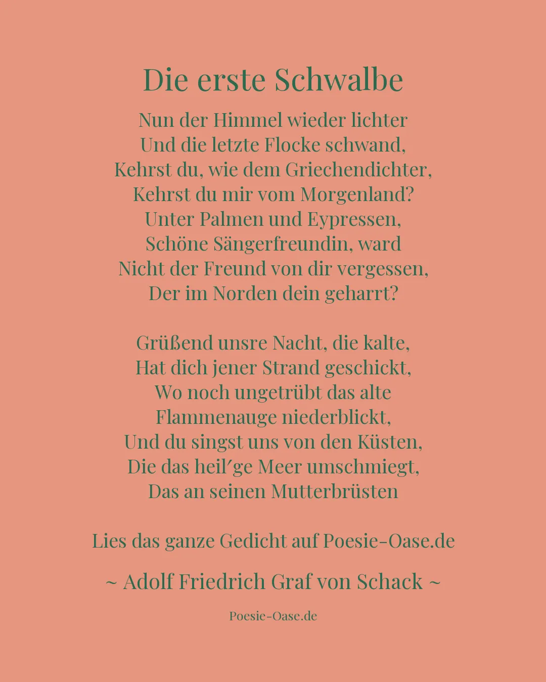 Illustration zu Die erste Schwalbe