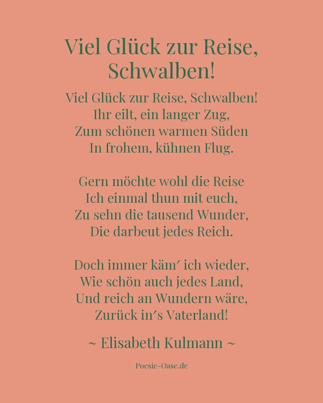 Illustration zu Viel Glück zur Reise, Schwalben!