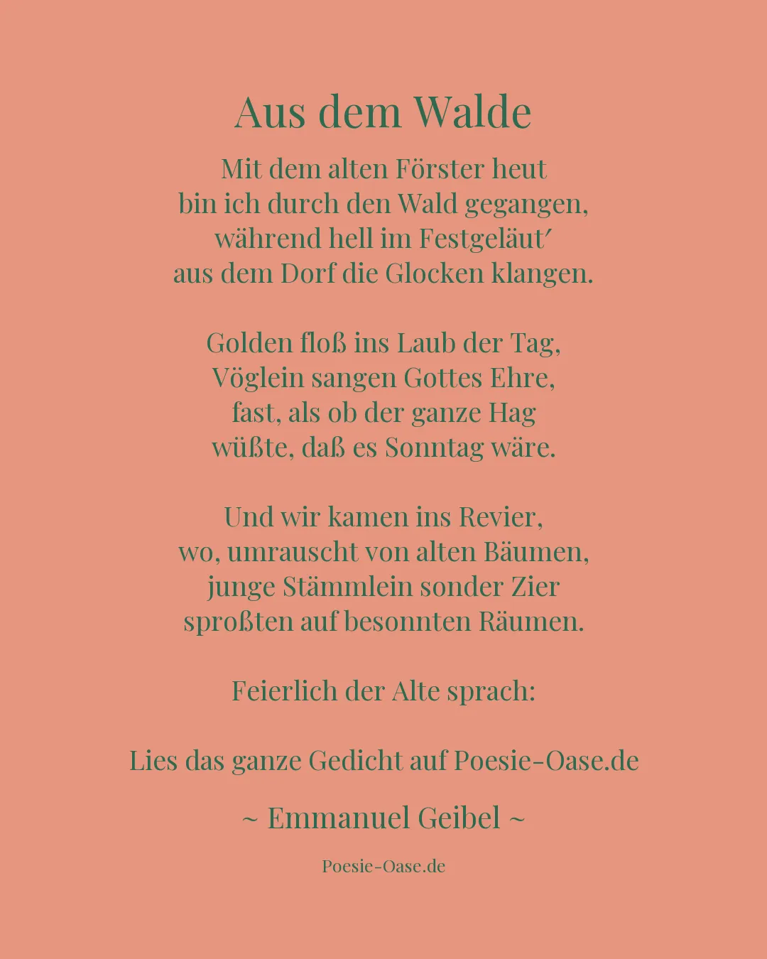 Illustration zu Aus dem Walde