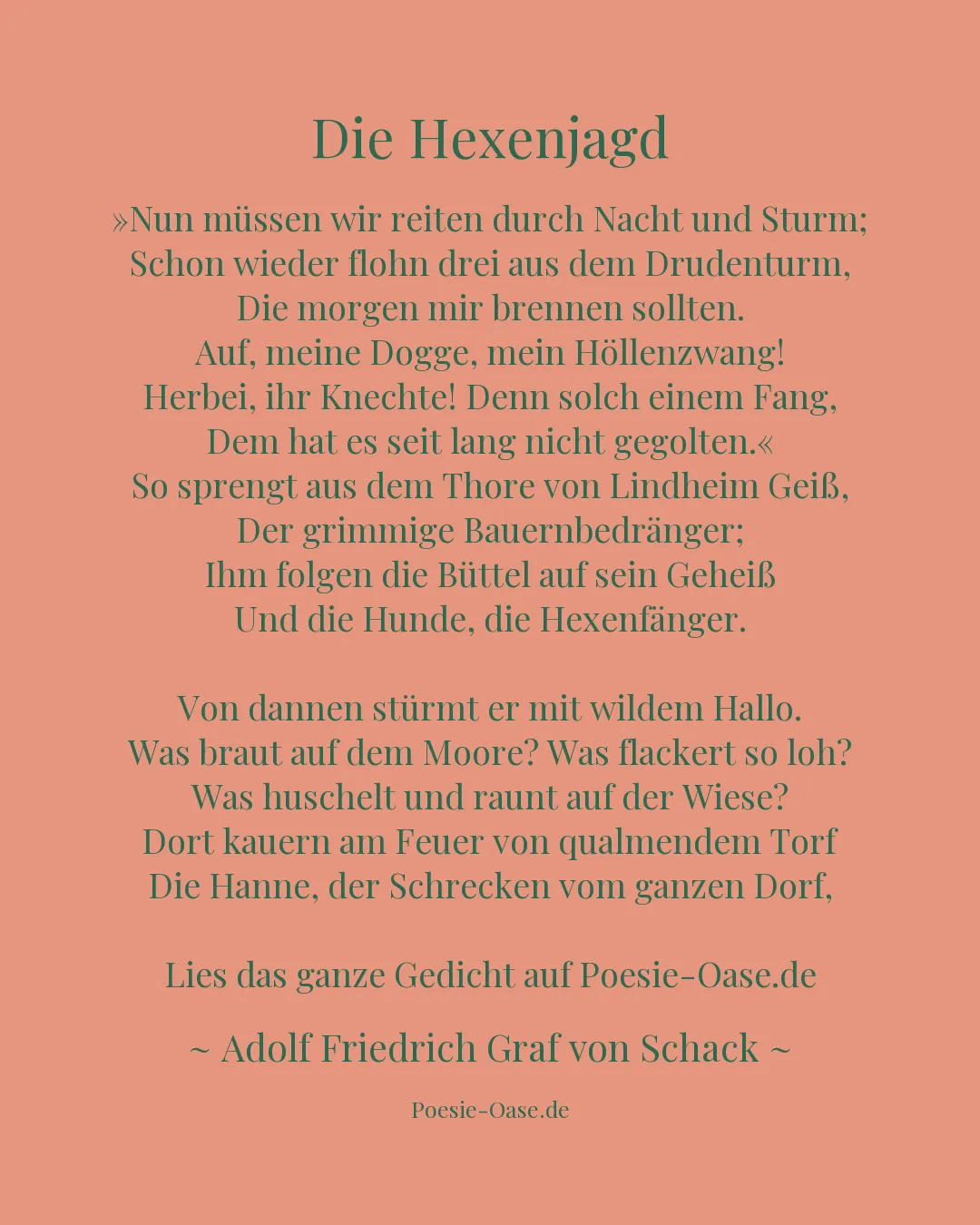 Illustration zu Die Hexenjagd