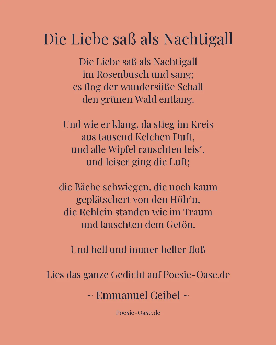Illustration zu Die Liebe saß als Nachtigall