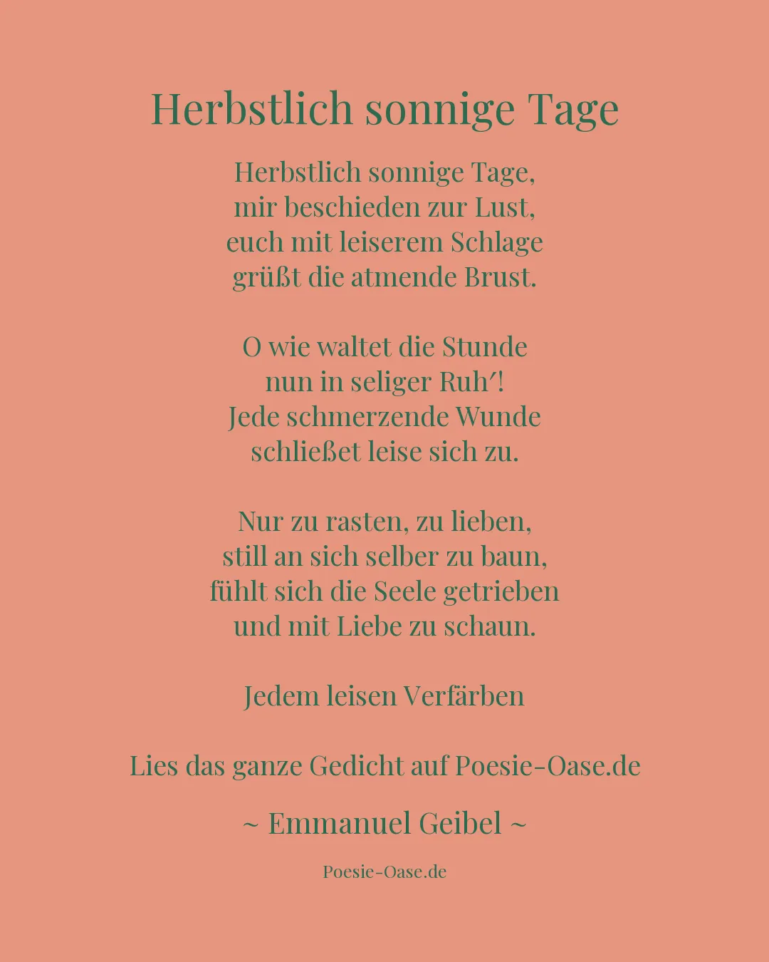 Illustration zu Herbstlich sonnige Tage