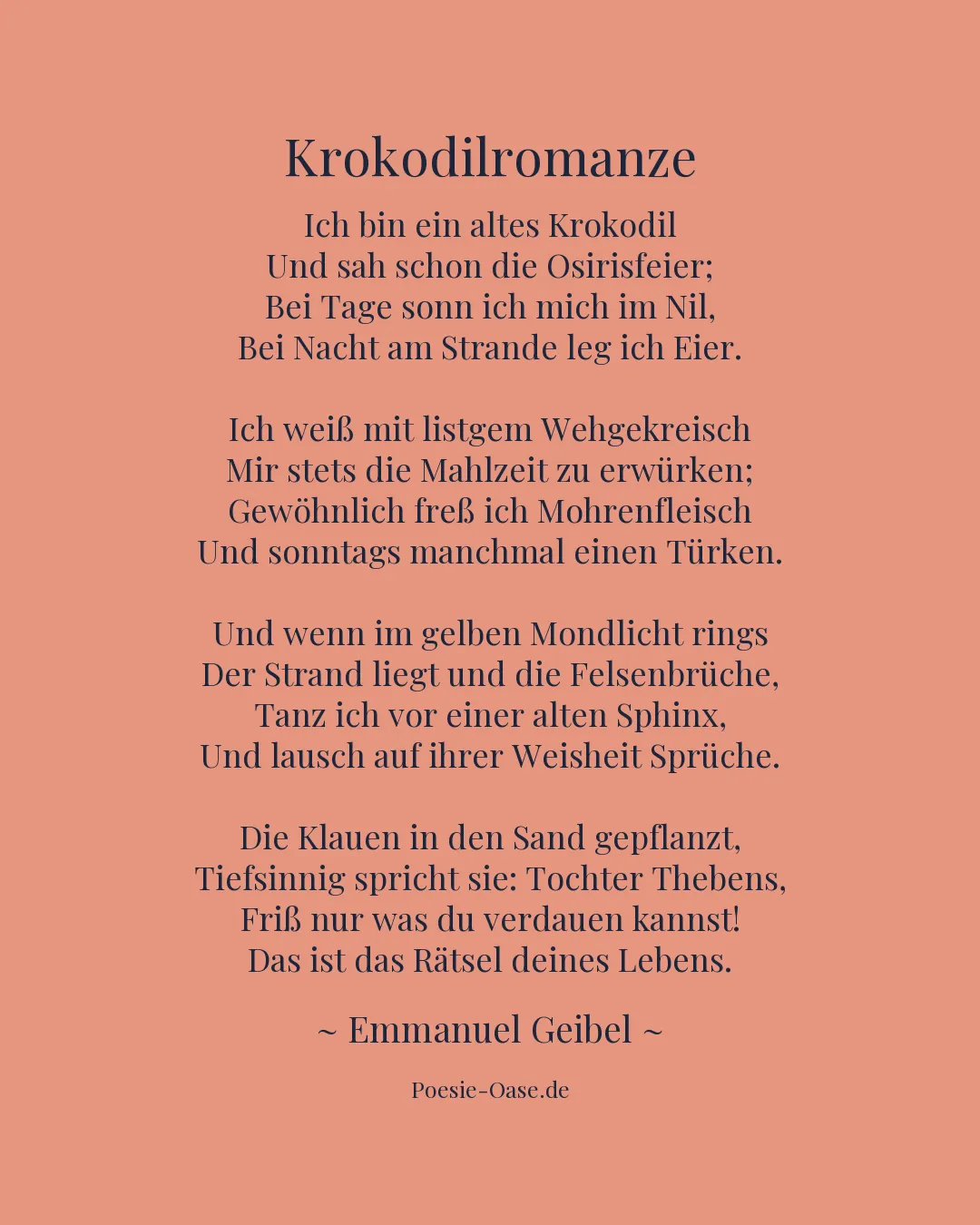 Illustration zu Krokodilromanze
