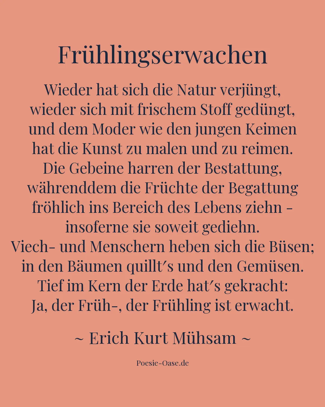 Illustration zu Frühlingserwachen