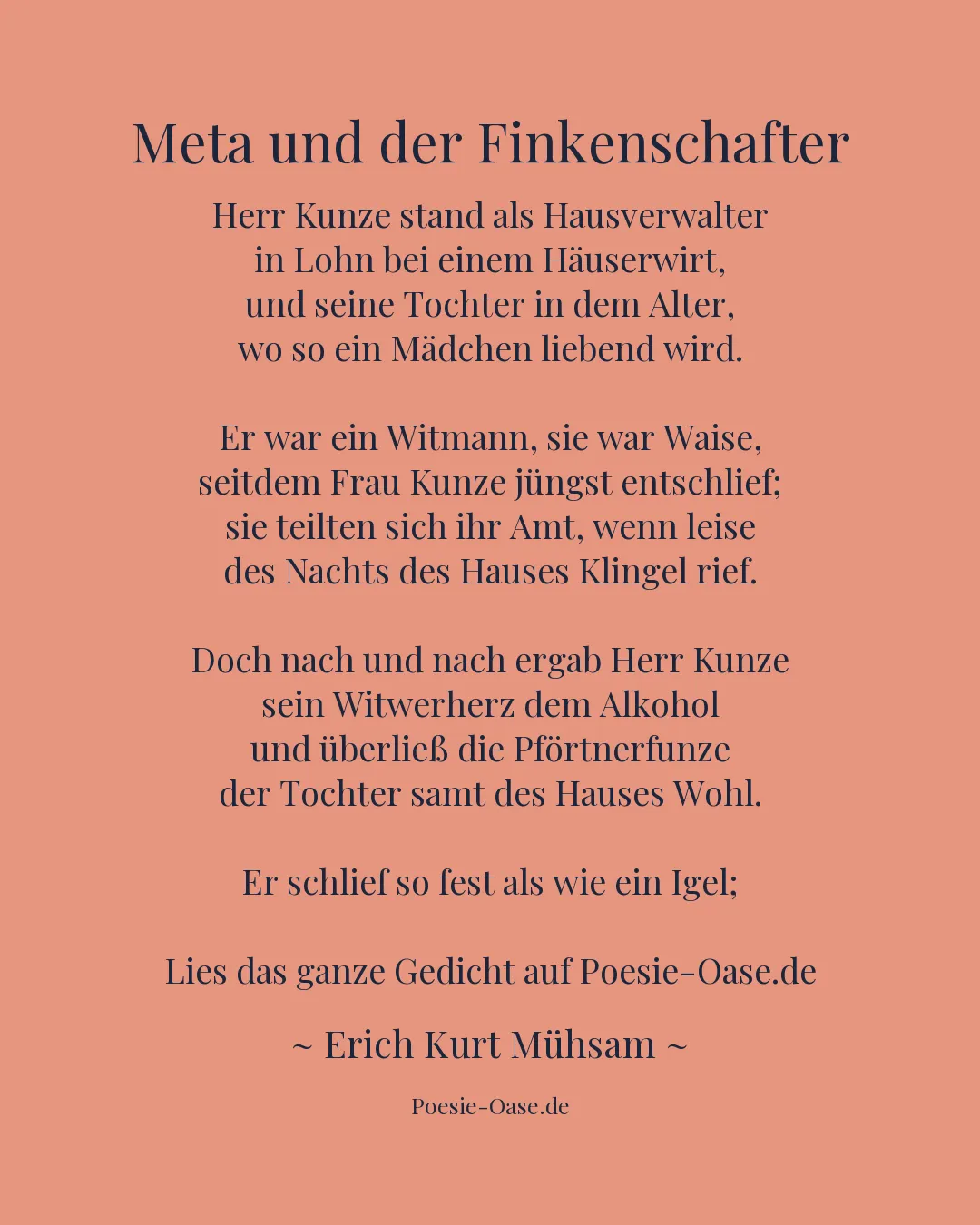 Illustration zu Meta und der Finkenschafter