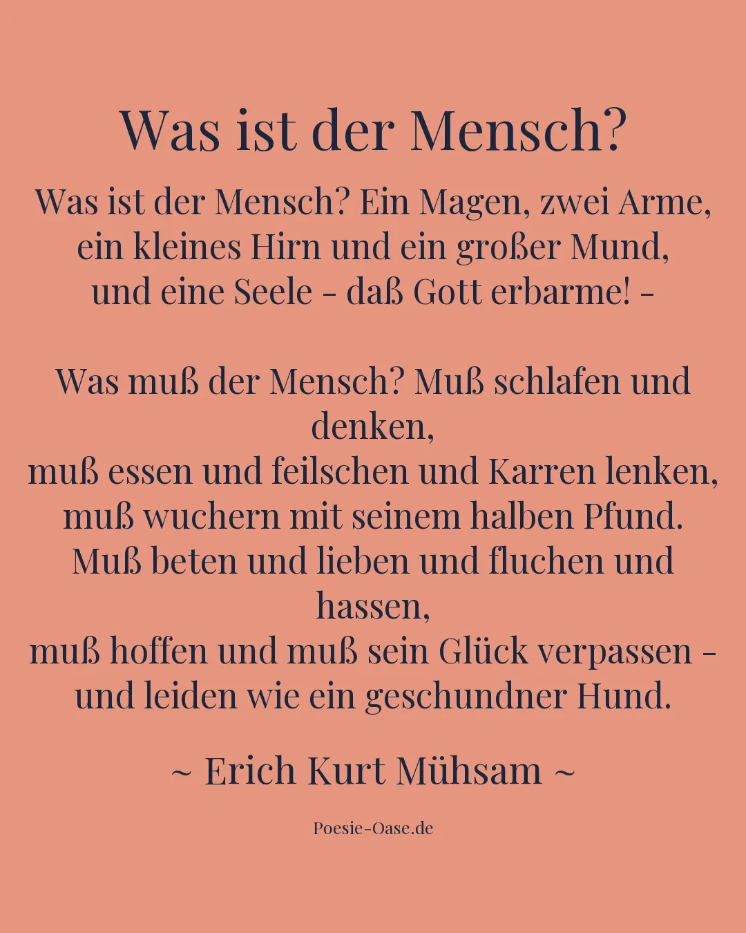 Illustration zu Was ist der Mensch?