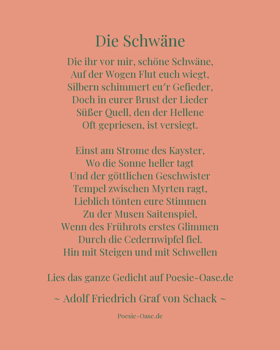 Illustration zu Die Schwäne