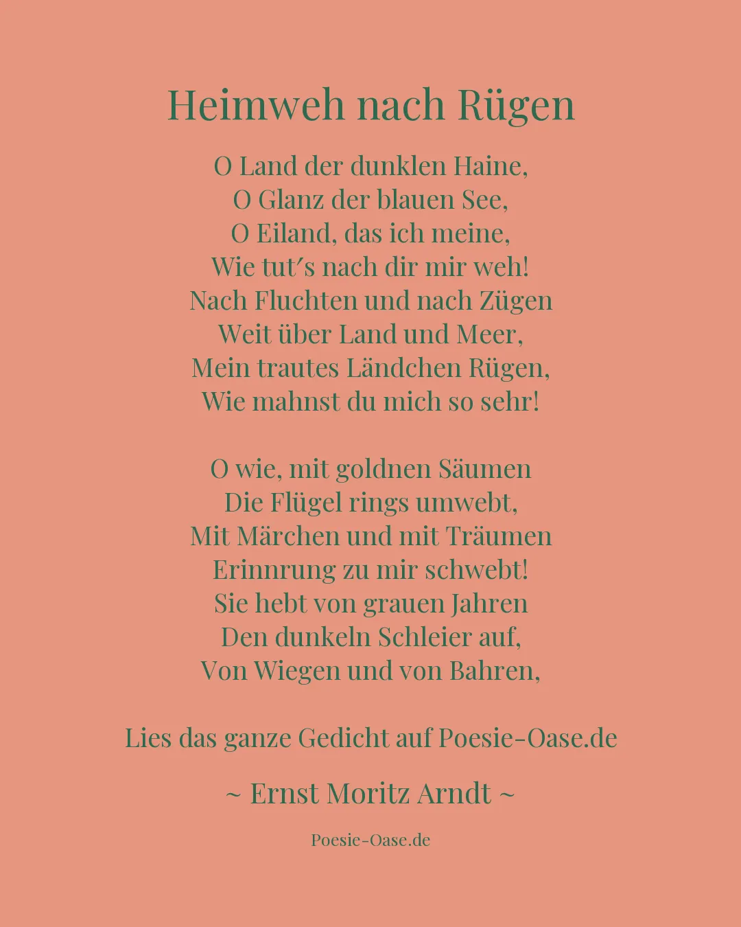 Illustration zu Heimweh nach Rügen
