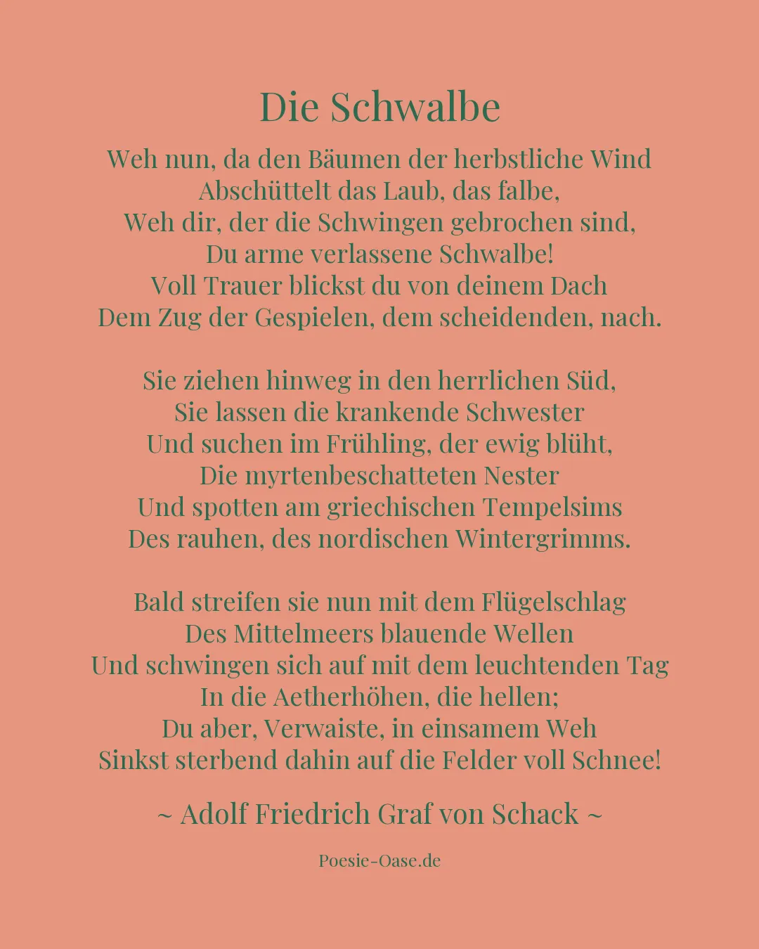 Illustration zu Die Schwalbe