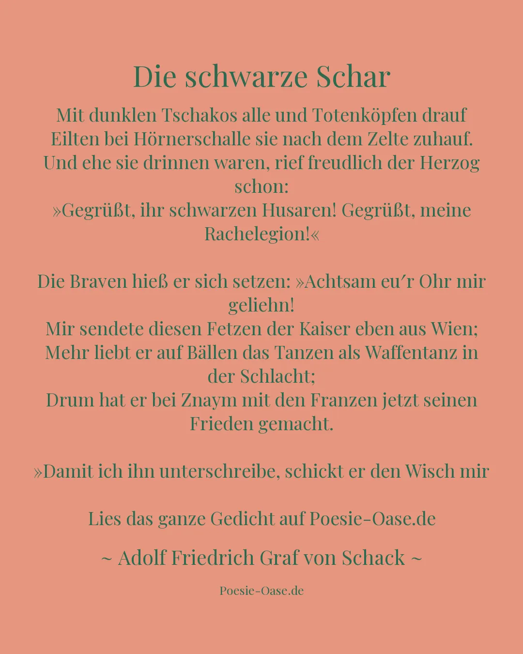 Illustration zu Die schwarze Schar