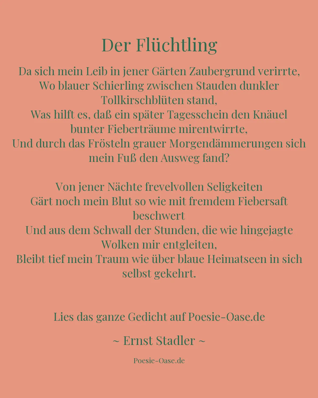 Illustration zu Der Flüchtling