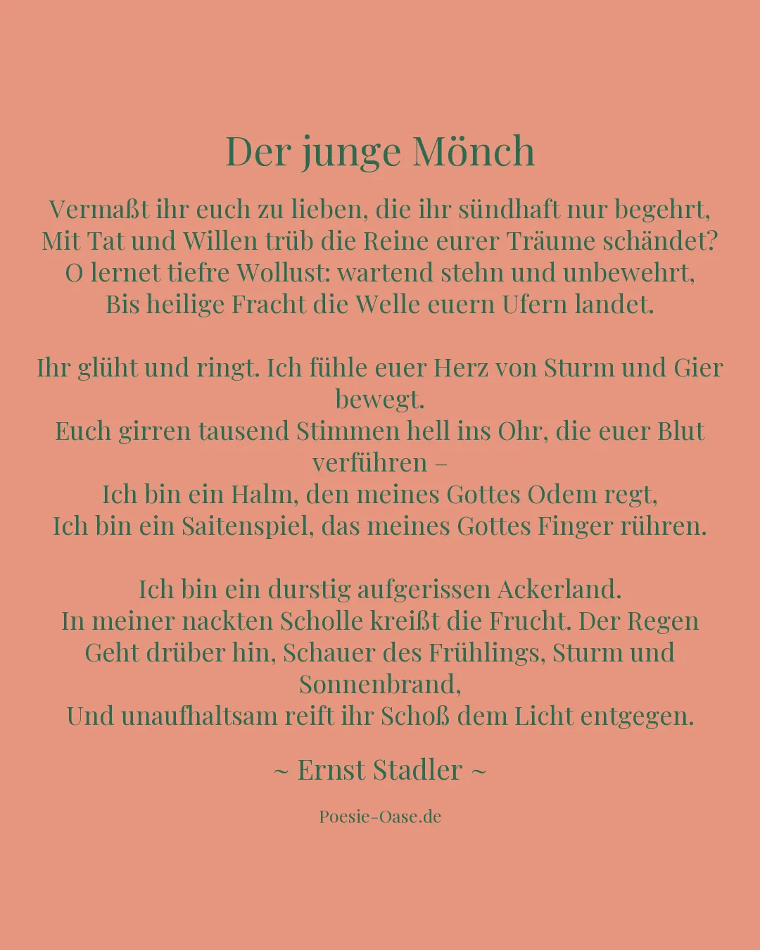 Illustration zu Der junge Mönch