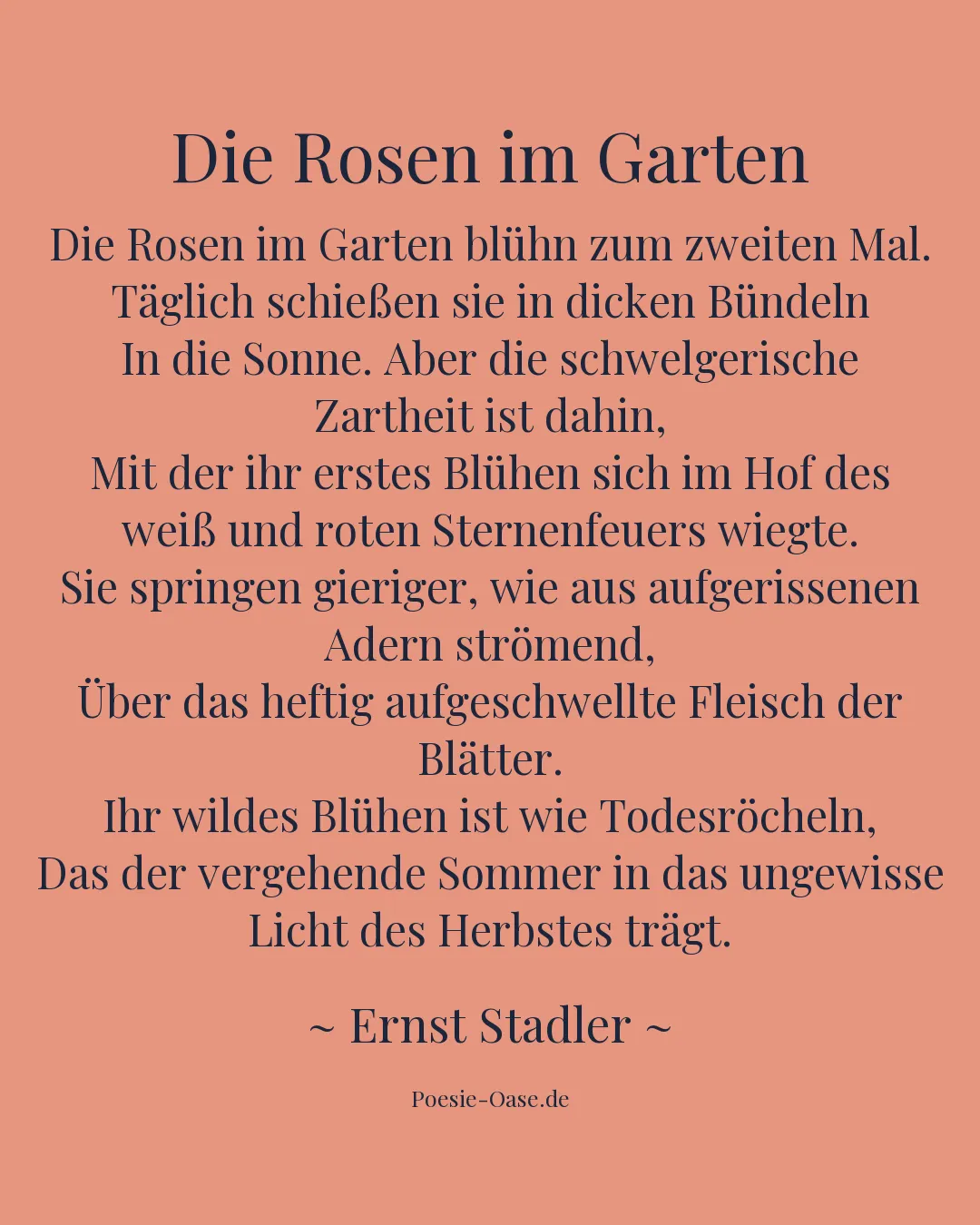 Illustration zu Die Rosen im Garten