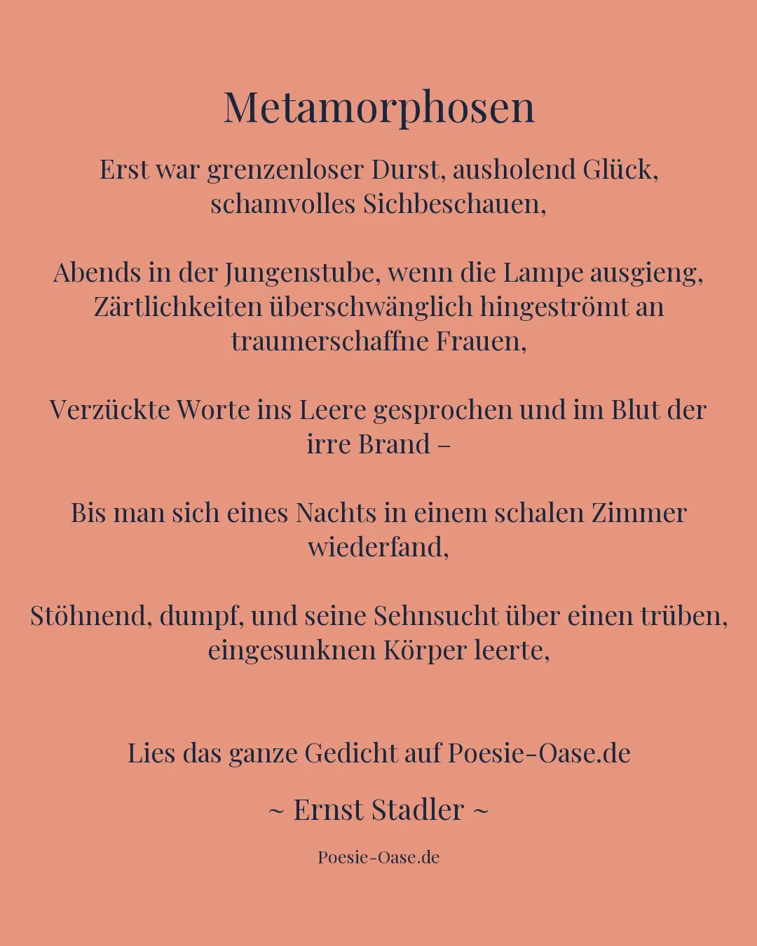 Illustration zu Metamorphosen