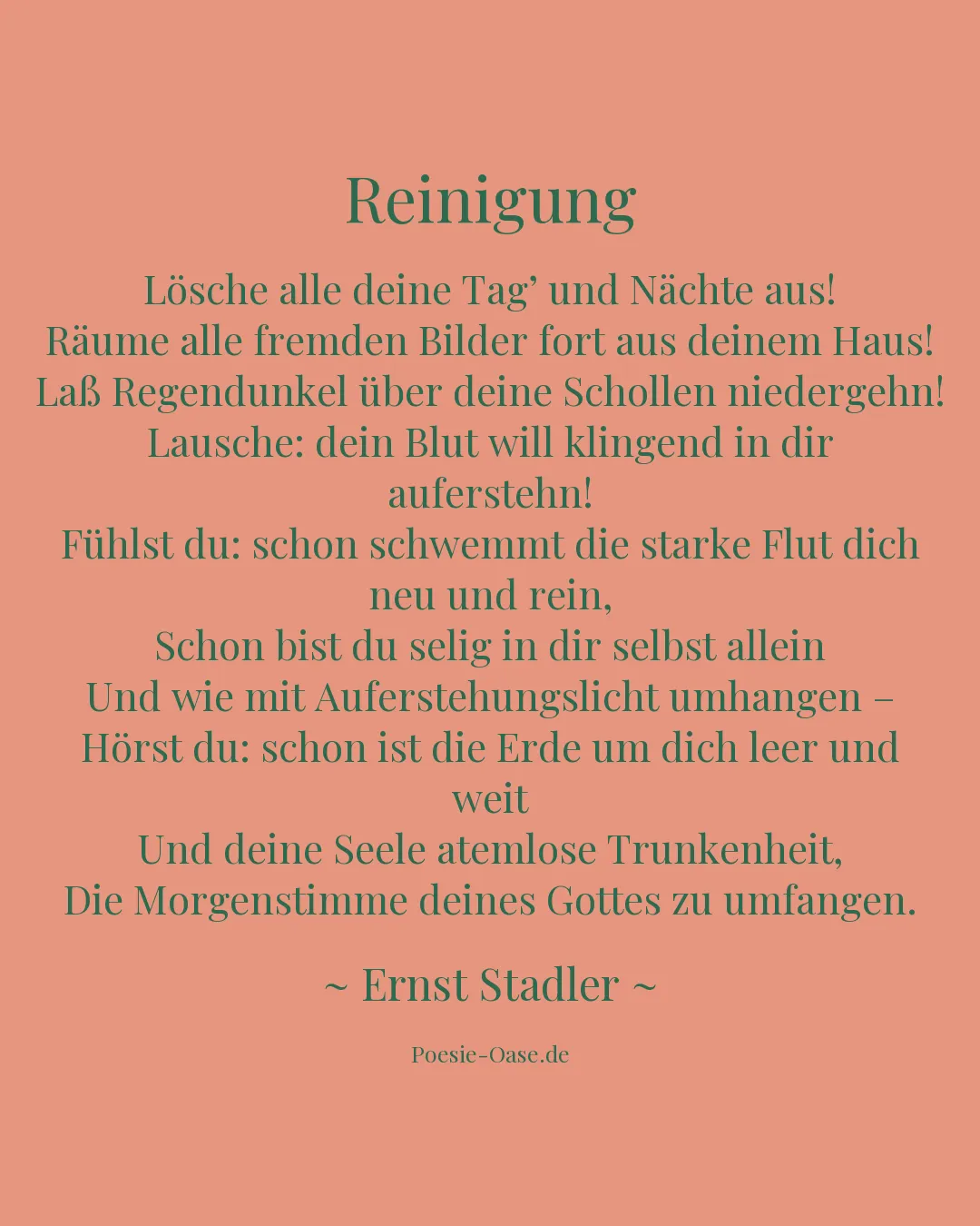Illustration zu Reinigung
