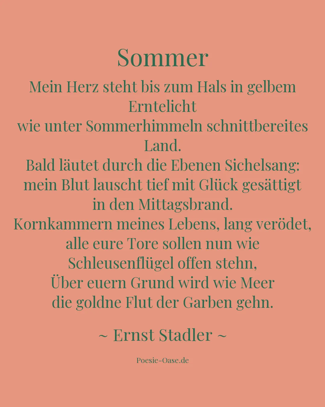 Illustration zu Sommer