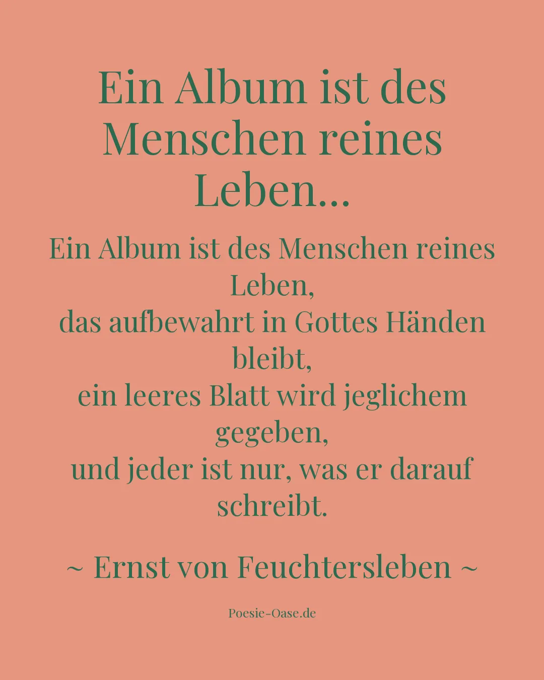 Illustration zu Ein Album ist des Menschen reines Leben...