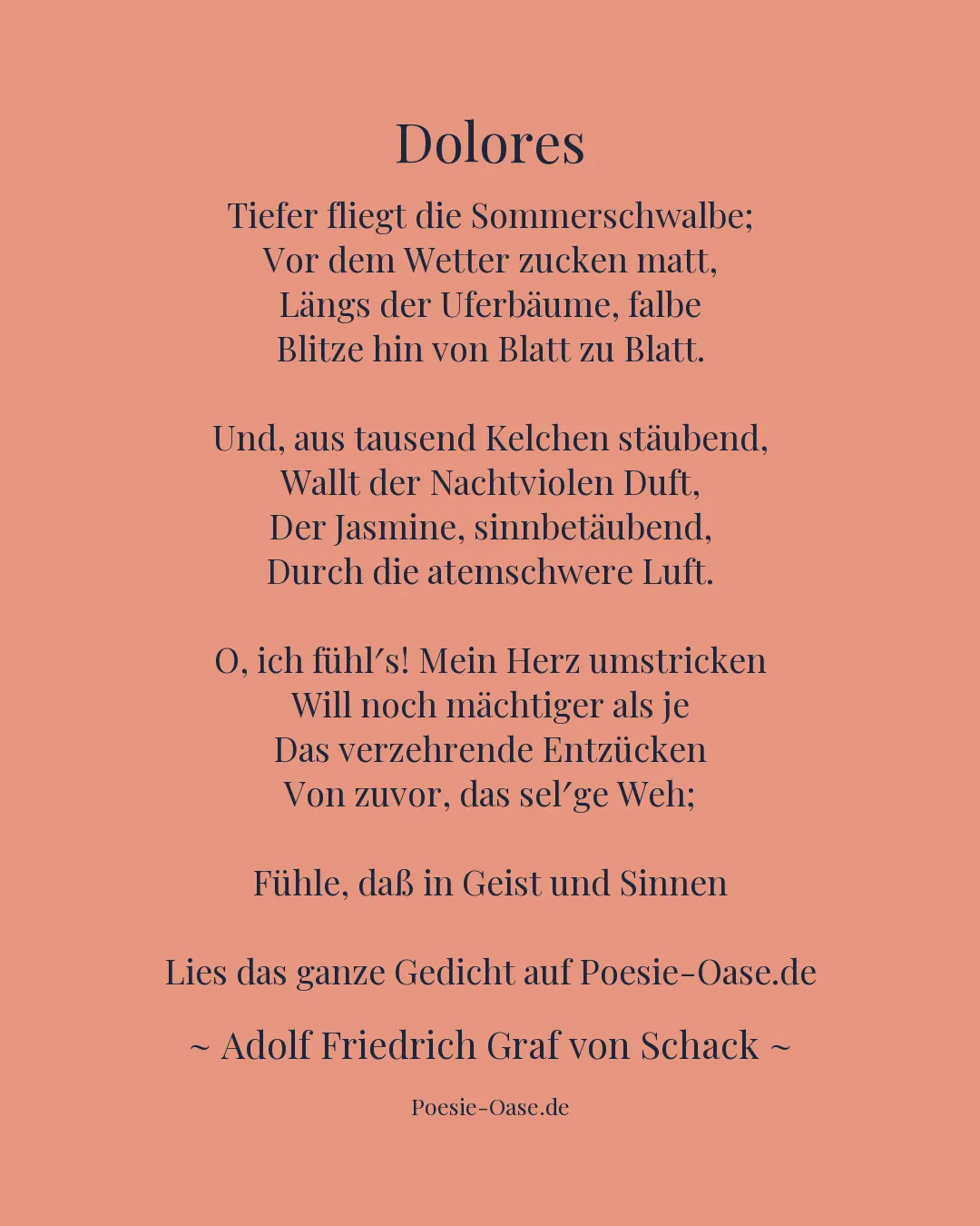Illustration zu Dolores