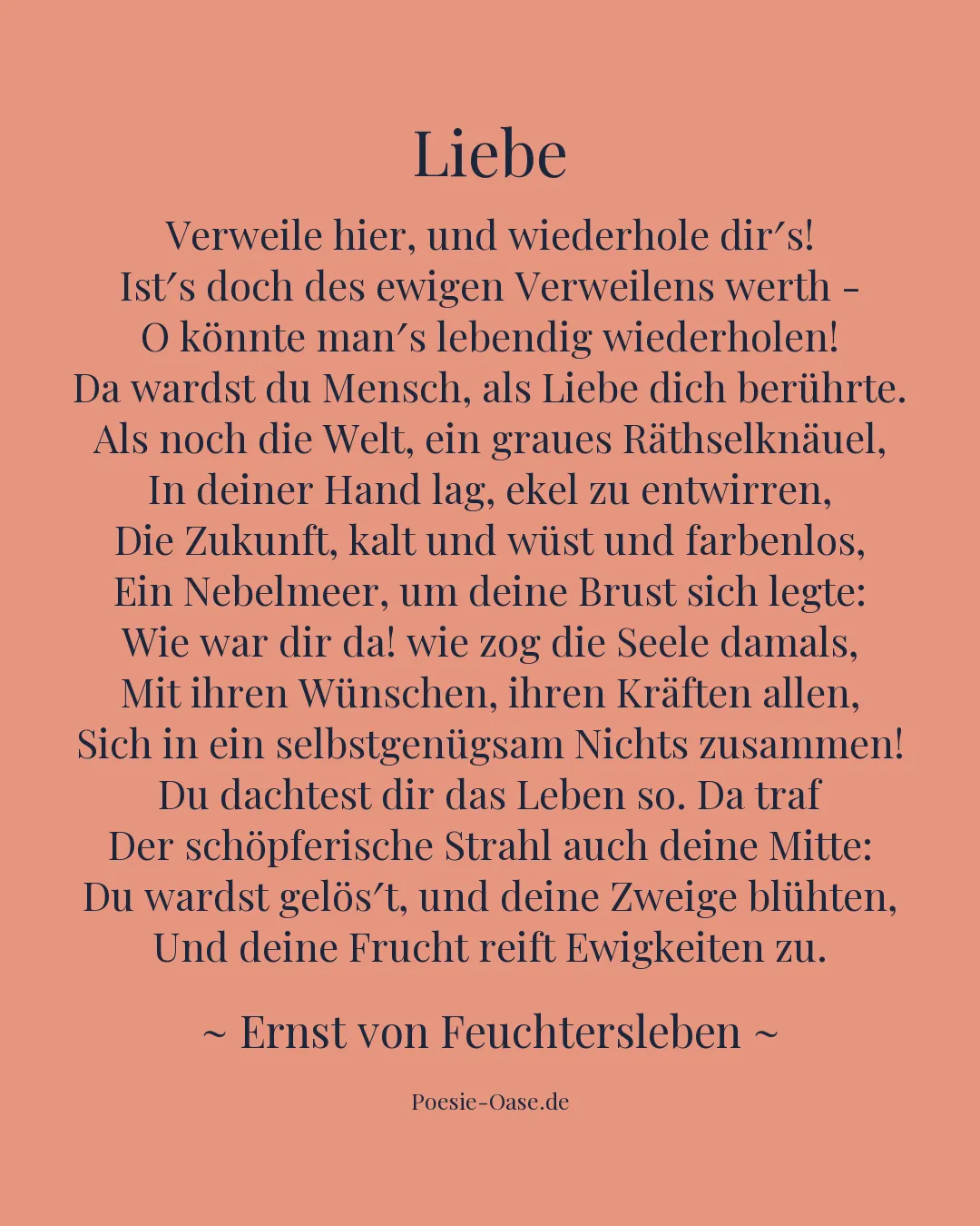 Illustration zu Liebe