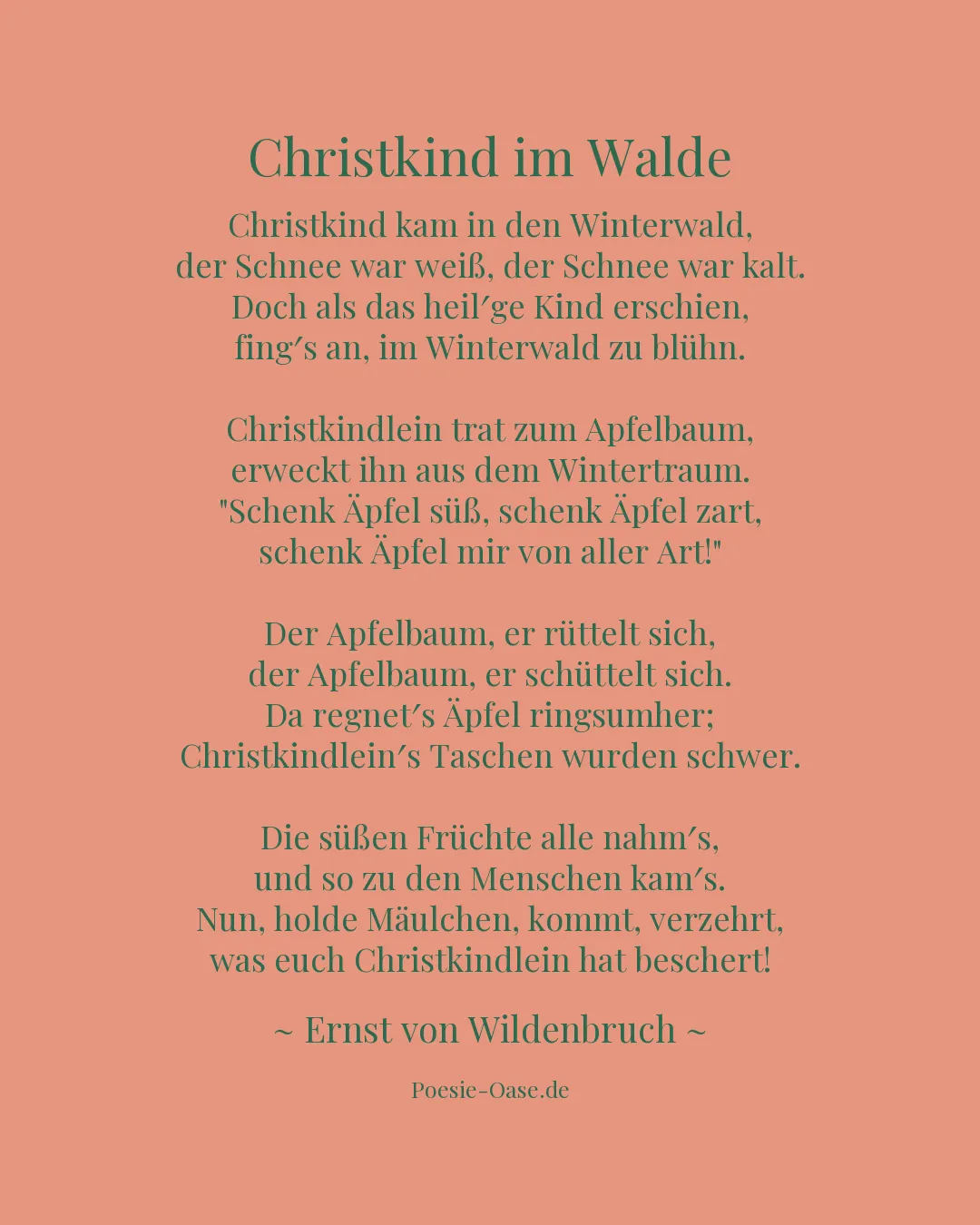 Illustration zu Christkind im Walde