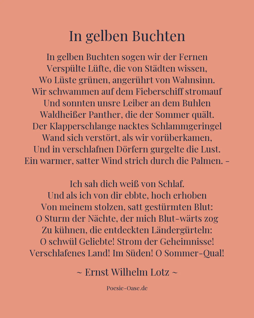 Illustration zu In gelben Buchten