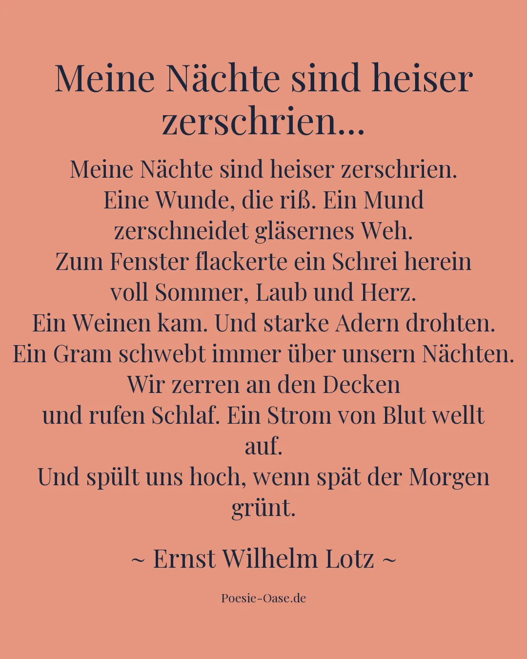 Illustration zu Meine Nächte sind heiser zerschrien...