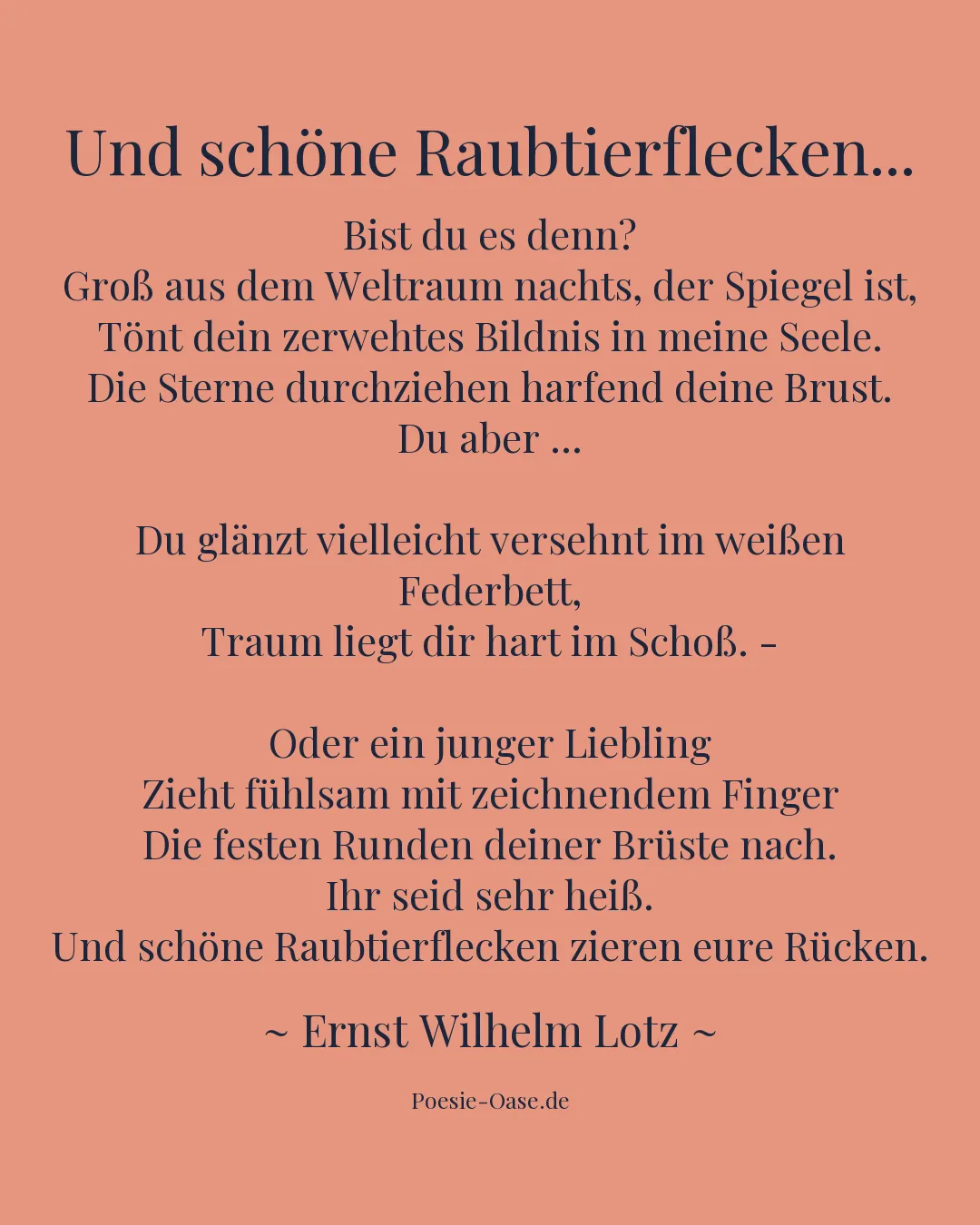 Illustration zu Und schöne Raubtierflecken...